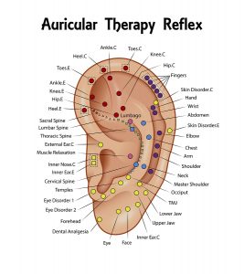Auriculotherapy Chart Free