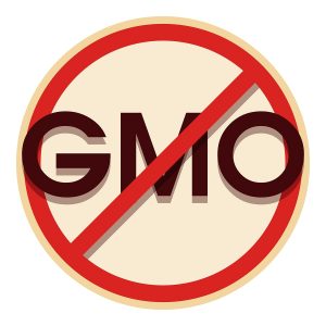 No gmo icon. Cartoon illustration of no gmo icon for web