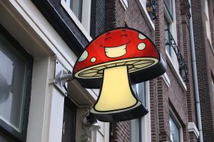 AMSTERDAM, NETHERLANDS - DECEMBER 6, 2018: Magic mushrooms store in Amsterdam. Netherlands is known for its relaxed laws towards recreational use of drugs like psychodelic mushrooms.