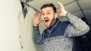 Bearded man in shock from the black mold on the wall and ceiling. - Image Toned