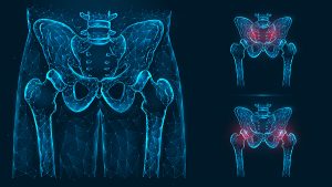 Bones of the pelvis and hip, human anatomy. Pelvic and hip injuries. X ray of the hip joint made of lines and dots isolated on blue background.